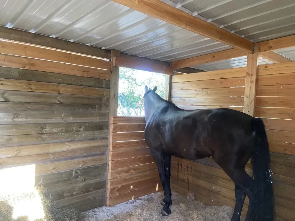 Box pour chevaux près de Var