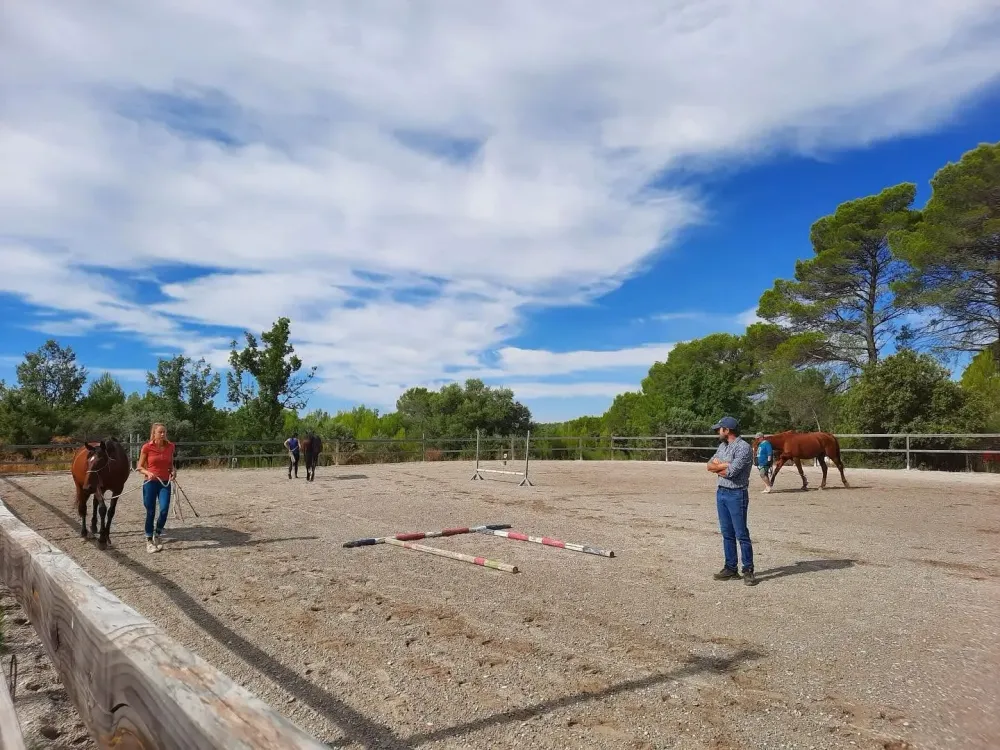 Enseignement équitation près de Var